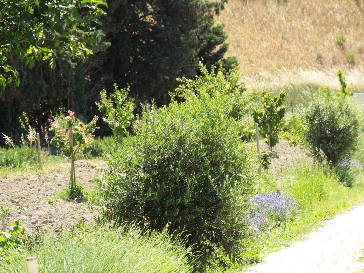Gite De Leonie Moulin De Tartay En Avignon Kültér fotó